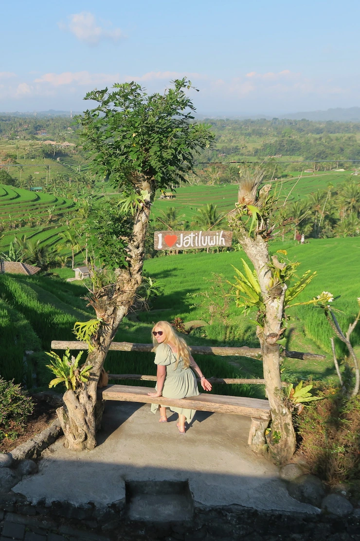 Terrazas de arroz de Jatiluwih, Bali, Indonesia
Jatiluwih rice terraces