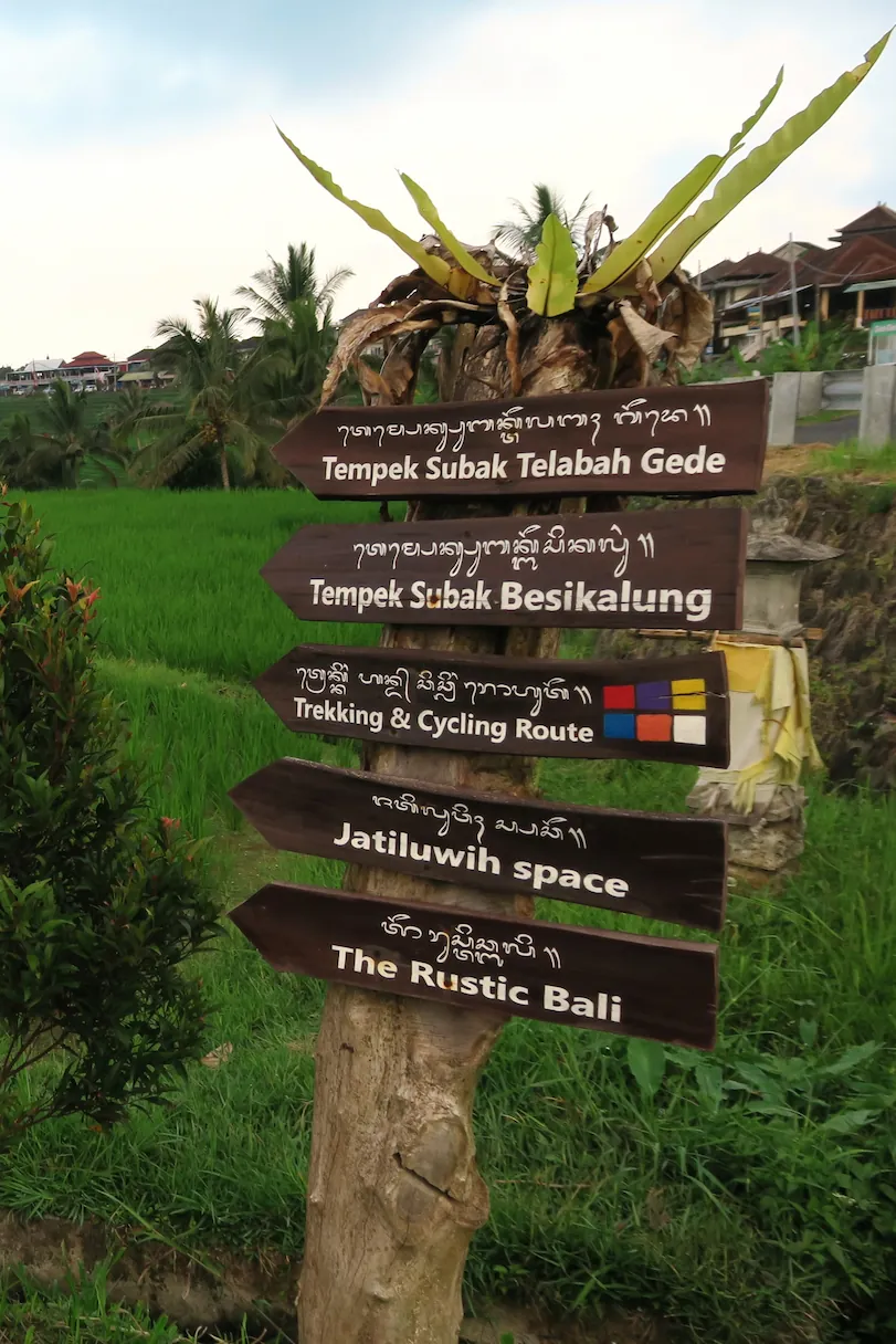 Carteles de madera indicando las rutas de trekking, ciclismo y sectores de Tempek Subak en Jatiluwih, Bali.
Wooden signposts indicating trekking and cycling routes and Tempek Subak sectors in Jatiluwih.