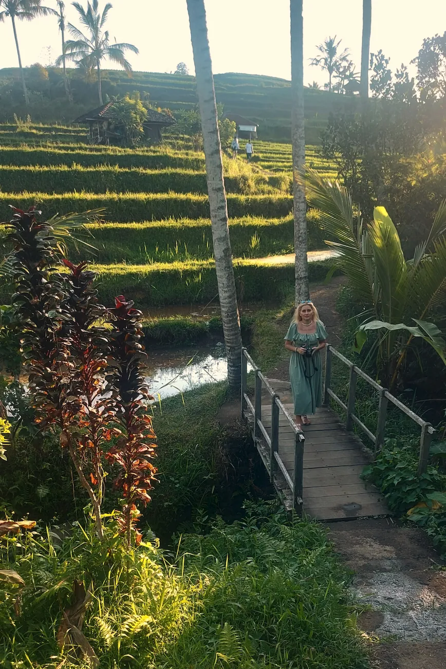 Terrazas de arroz de Jatiluwih, Bali, Indonesia.
Jatiluwih rice terraces, Bali, Tabanan Regency, UNESCO World Heritage
