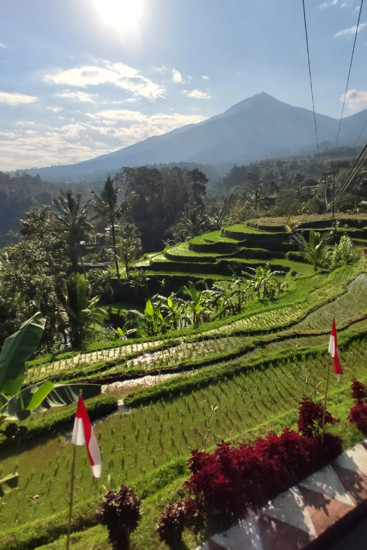 Terrazas de arroz de Jatiluwih, Bali, Indonesia. / Jatiluwih rice terraces, Tabanan Regency, Bali, Indonesia, UNESCO World Heritage.