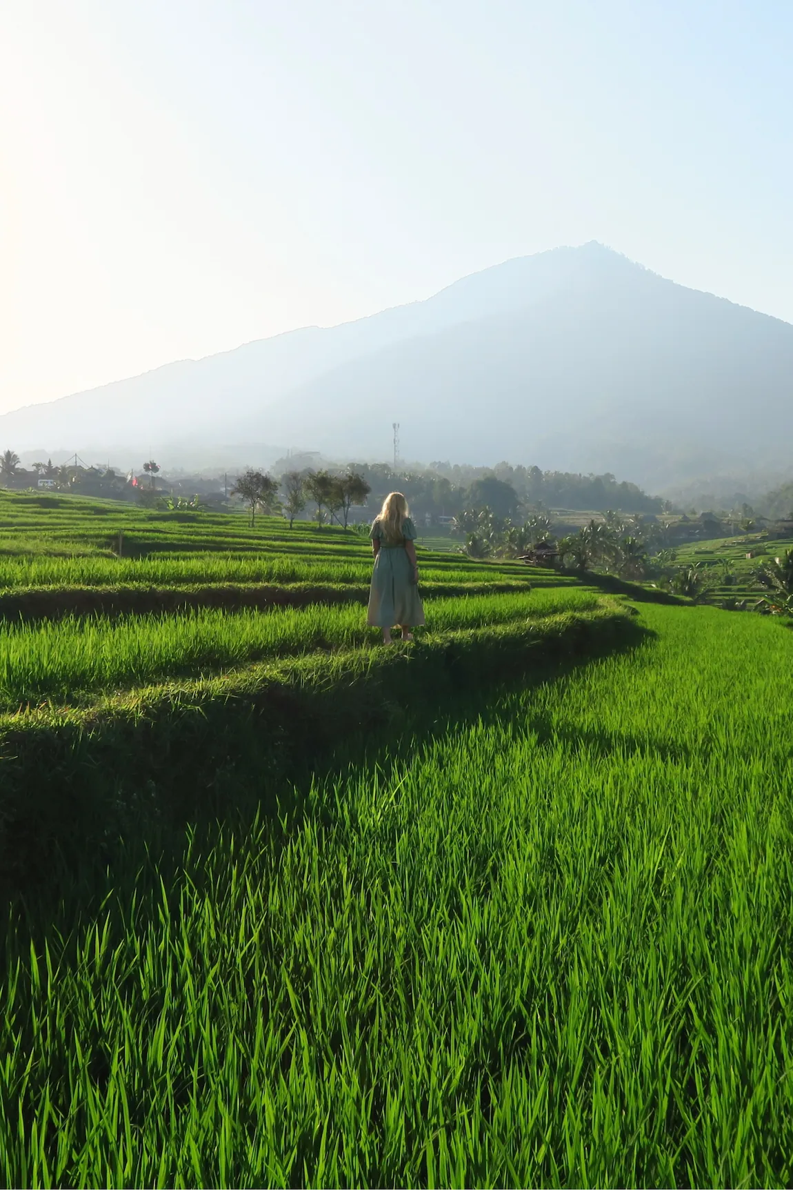 Terrazas de arroz de Jatiluwih, Bali, Indonesia.
Jatiluwih rice terraces, Tabanan Regency, Bali, Indonesia, UNESCO World Heritage.