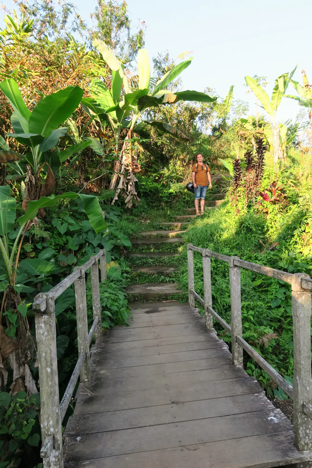 Terrazas de arroz de Jatiluwih, Bali, Indonesia.
Jatiluwih rice terraces, Tabanan Regency, Bali, Indonesia, UNESCO World Heritage.