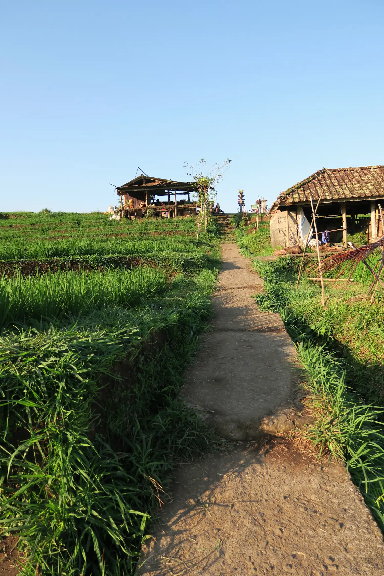Terrazas de arroz de Jatiluwih, Bali, Indonesia.
Jatiluwih rice terraces, Tabanan Regency, Bali, Indonesia, UNESCO World Heritage.