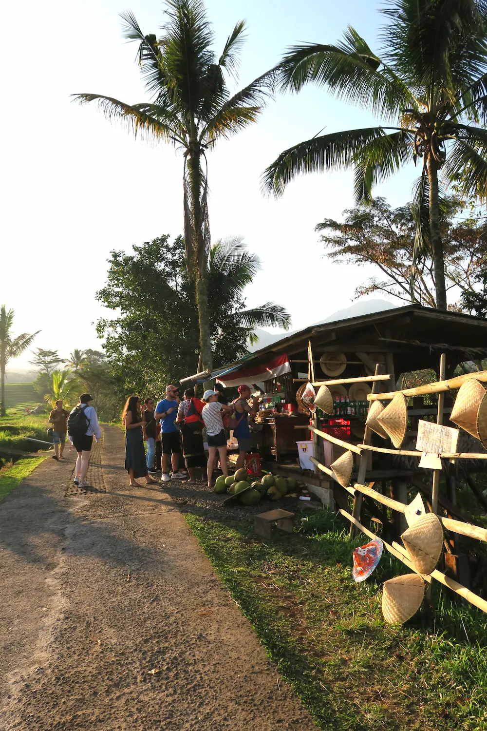 Terrazas de arroz de Jatiluwih, Bali, Indonesia.
Jatiluwih rice terraces, Tabanan Regency, Bali, Indonesia, UNESCO World Heritage.