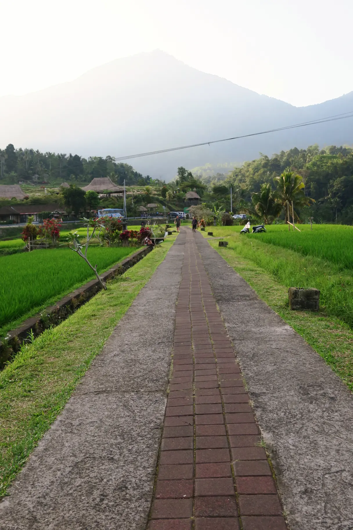 Terrazas de arroz de Jatiluwih, Bali, Indonesia.
Jatiluwih rice terraces, Tabanan Regency, Bali, Indonesia, UNESCO World Heritage.