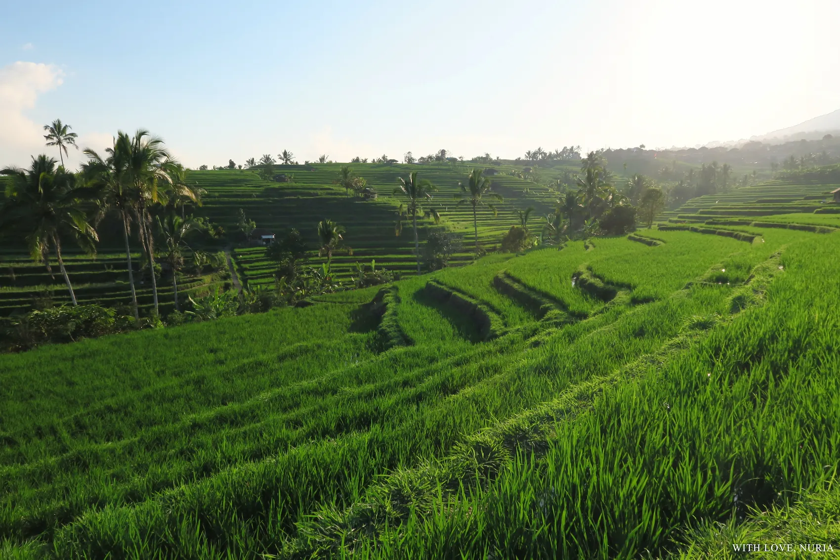 Arrozales de Jatiluwih UNESCO / Jatiluwih Rice Terraces UNESCO