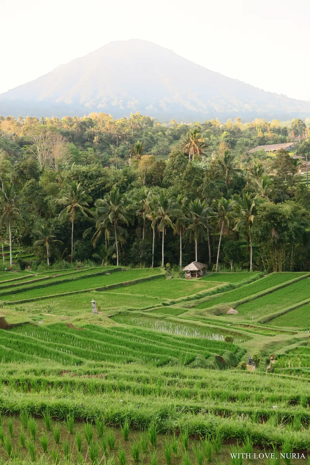 Arrozales de Jatiluwih UNESCO / Jatiluwih Rice Terraces UNESCO
