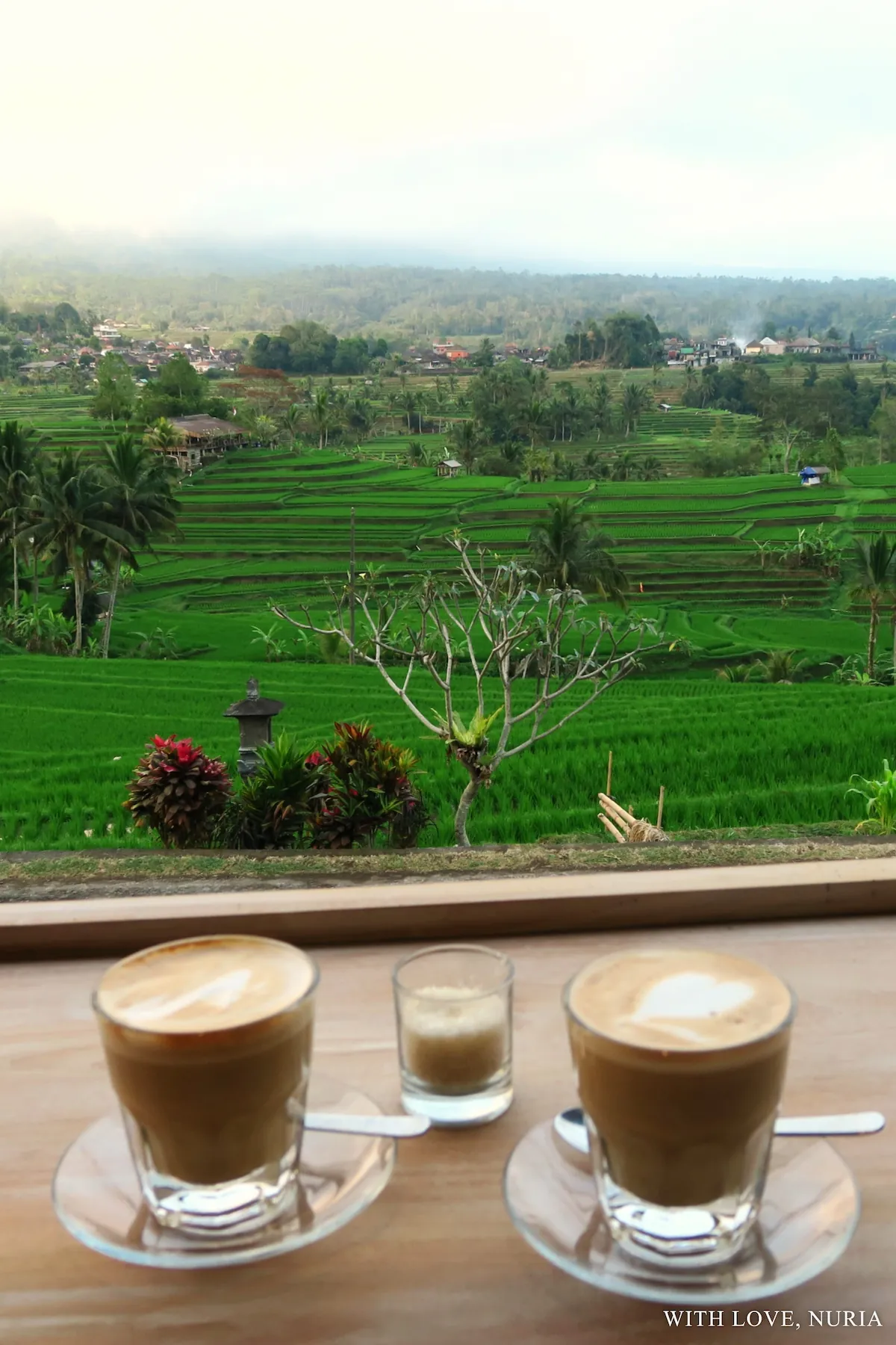 Vistas desde Jatiluwih Resto / Views from Jatiluwih Resto