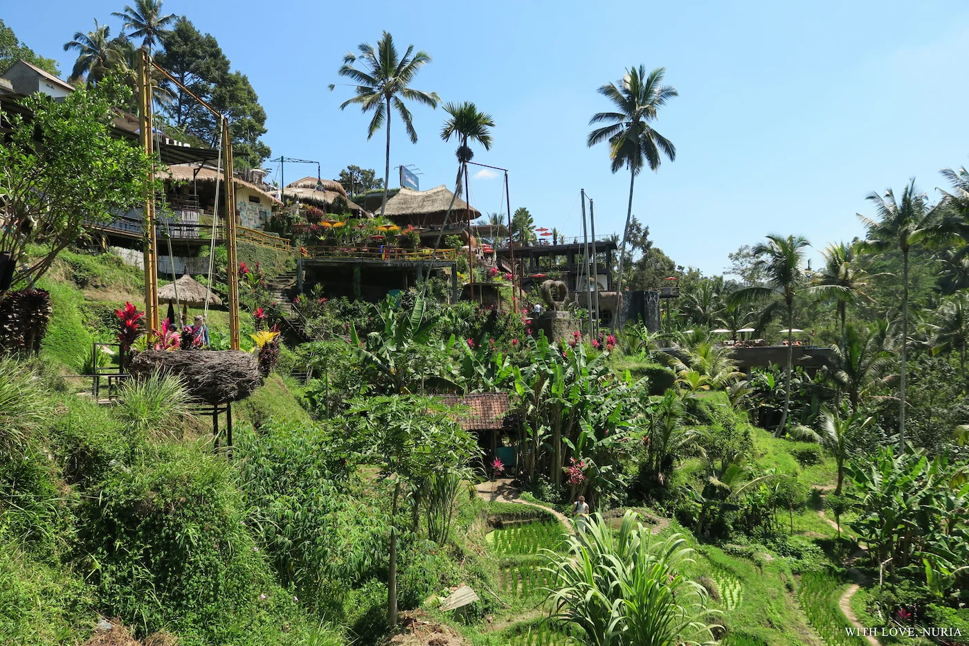 Terrazas de arroz de Tegallalang / Tegallalang Rice Terraces