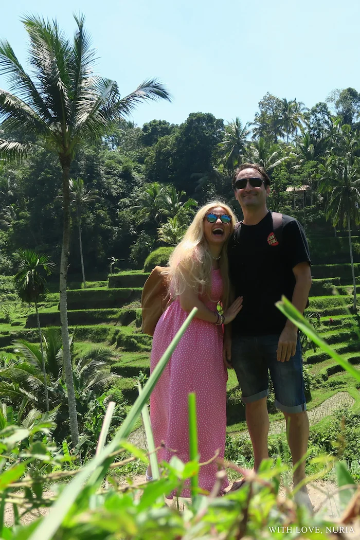 Terrazas de arroz de Tegallalang / Tegallalang Rice Terraces