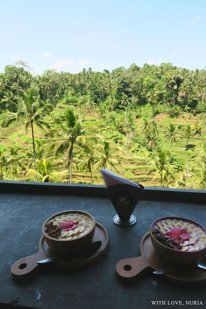 Vistas desde Surya Terrace en Tegallalang / Views from Surya Terrace in Tegallalang