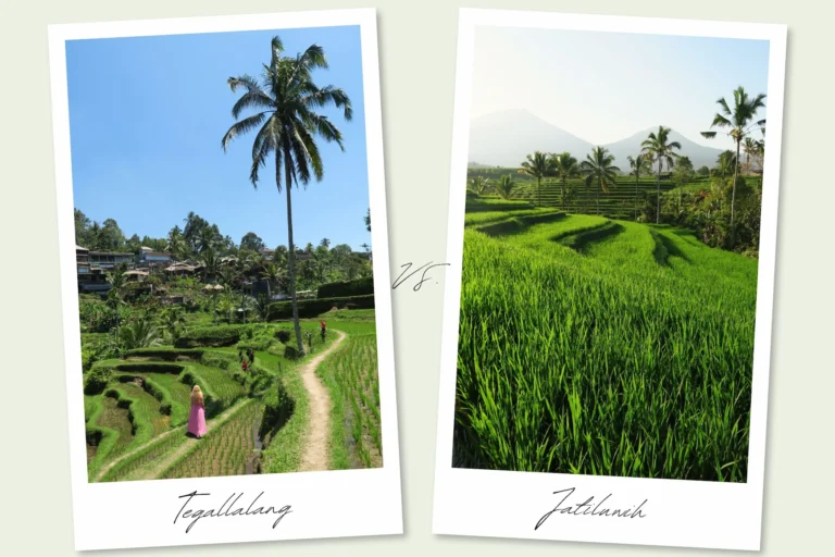 Tegallalang vs Jatiluwih: ¿Qué arrozales visitar en Bali? / Tegallalang vs Jatiluwih: Which rice terraces to visit in Bali?